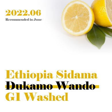 [에티오피아 시다마 두카모 원도 G1 워시드]더힐로스터스 스페셜티